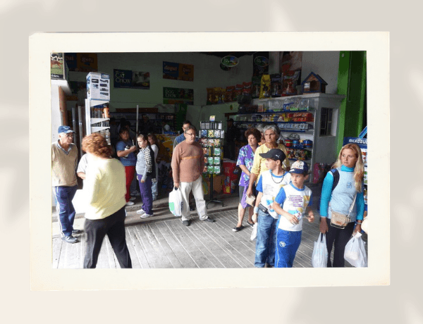 nosotros agormarket gallo12